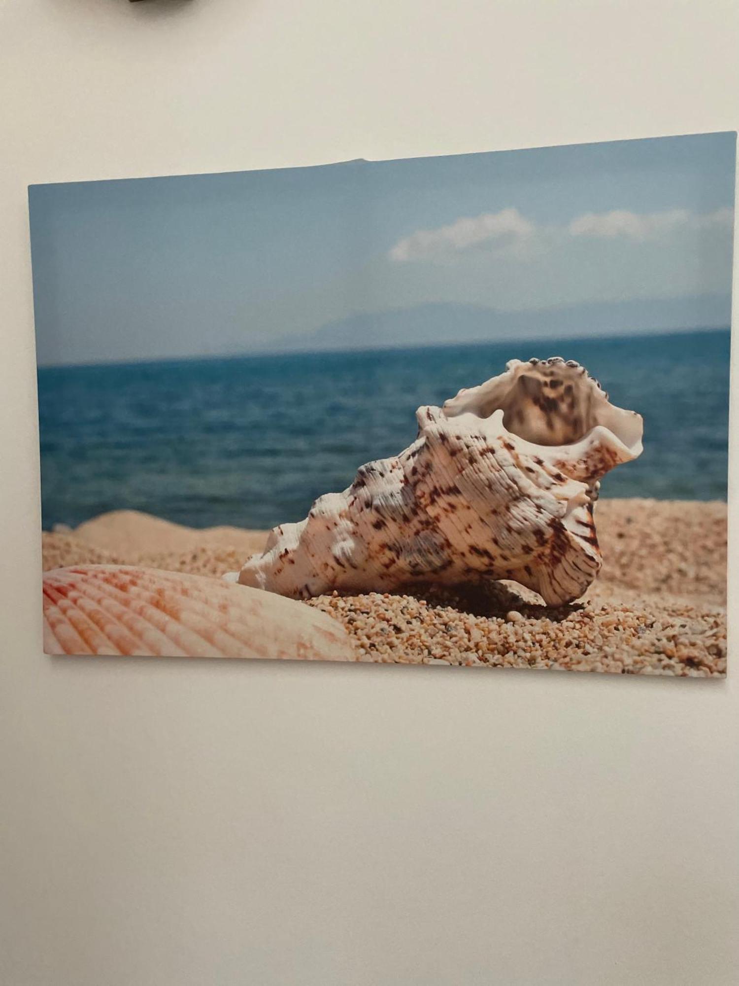 Case Vacanza Trappetodavivere Trappeto  Εξωτερικό φωτογραφία